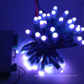 Christmas Holiday Outdoor Waterproof Pixel RGB Colorful 5050 12V LED Lighting